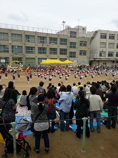 見学会